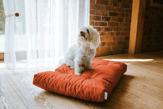 Legowisko Ortopedyczne CHARLIE - Oxford Pomarańczowy