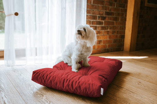 Legowisko Ortopedyczne CHARLIE - Oxford Czerwony