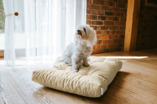 Legowisko Ortopedyczne CHARLIE - Oxford Kremowy