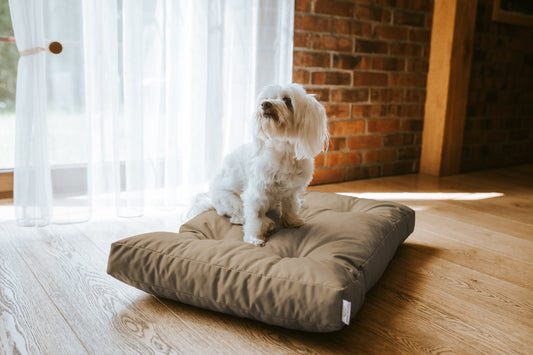 Legowisko Ortopedyczne CHARLIE - Oxford Beżowy