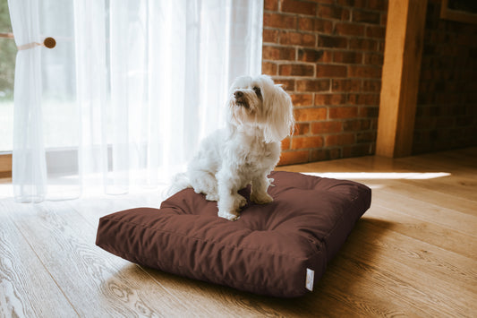 Legowisko Ortopedyczne CHARLIE - Oxford Brązowy