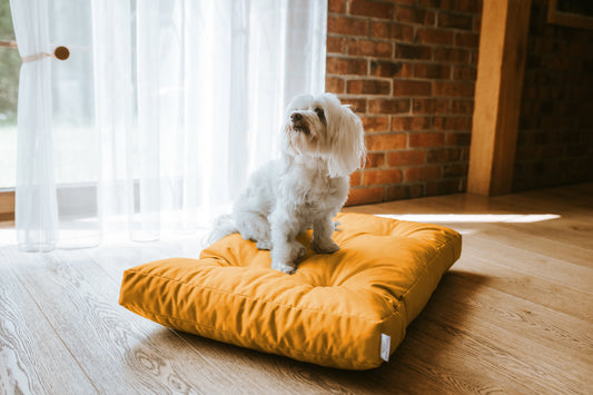 Legowisko Ortopedyczne CHARLIE - Oxford Żółty