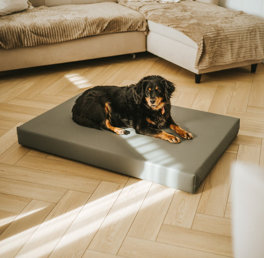 Materac VISCO dla psa  - Ekoskóra Beżowy