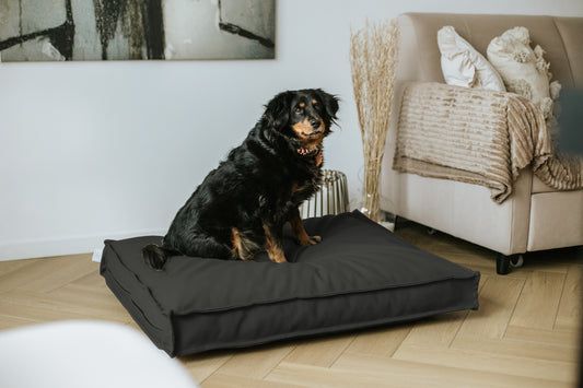 Legowisko wodoodporne CLASSIC  Ekoskóra Czarny