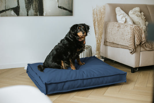 Legowisko wodoodporne CLASSIC  Ekoskóra Granat