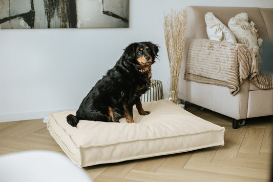 Legowisko wodoodporne CLASSIC  Ekoskóra Krem