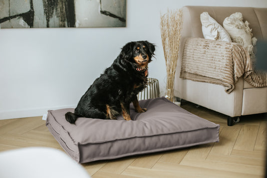 Legowisko wodoodporne CLASSIC  Ekoskóra Mocca