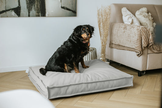 Legowisko wodoodporne CLASSIC  Ekoskóra Srebrny