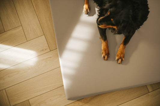 Materac VISCO dla psa  - Ekoskóra Beżowy