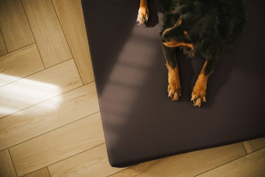 Materac VISCO dla psa  - Ekoskóra Brązowy