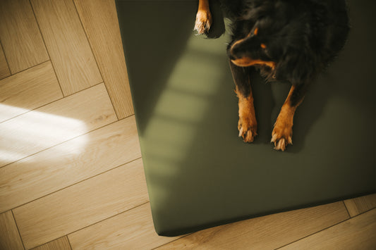 Materac VISCO dla psa  - Ekoskóra Ciemny Zielony