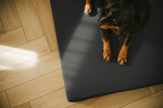 Materac VISCO dla psa  - Ekoskóra Czarny