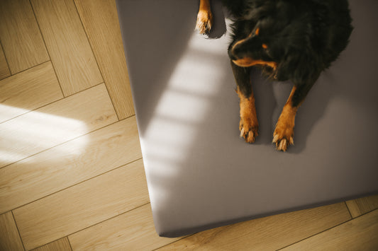 Materac VISCO dla psa  - Ekoskóra Moca