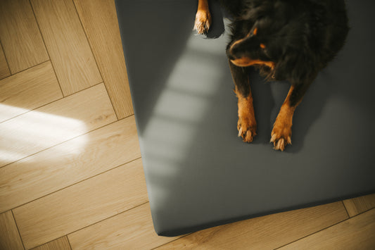 Materac VISCO dla psa  - Ekoskóra Szary