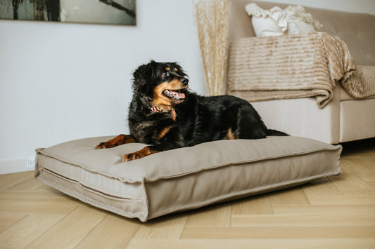 Legowisko wodoodporne CLASSIC  Ekoskóra Czarny